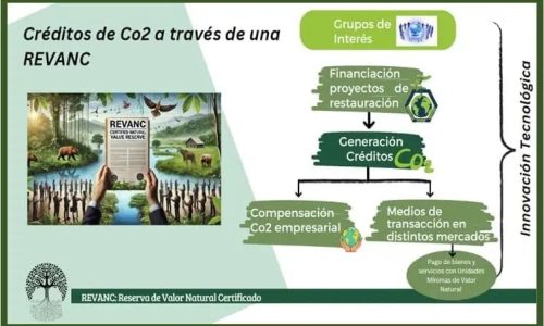 Creditos-de-Co2-a-traves-de-una-REVANC-compressed Creditos-de-Co2-a-traves-de-una-REVANC-compressed